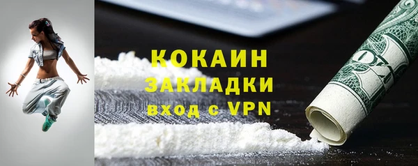 стафф Карпинск