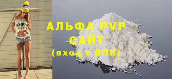 стафф Карпинск