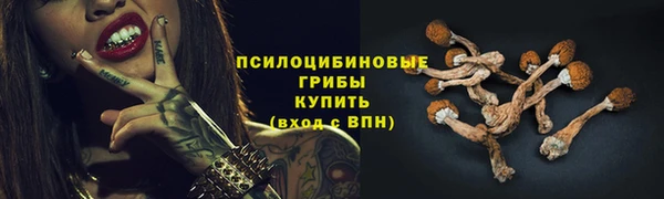 стафф Карпинск