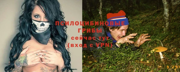 СК Киренск
